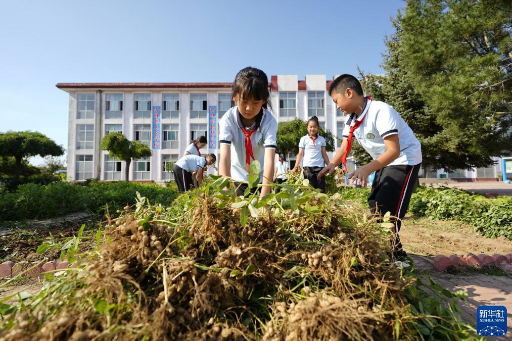 威尼斯app在那里玩下载
